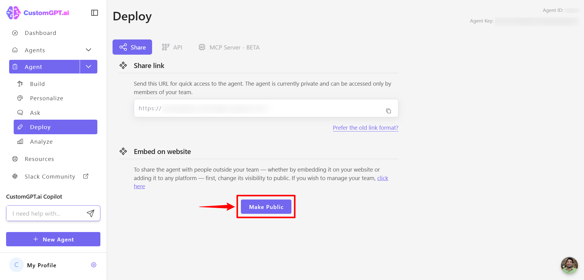 Click the Make Public button