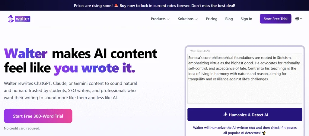 What is Walter Writes AI